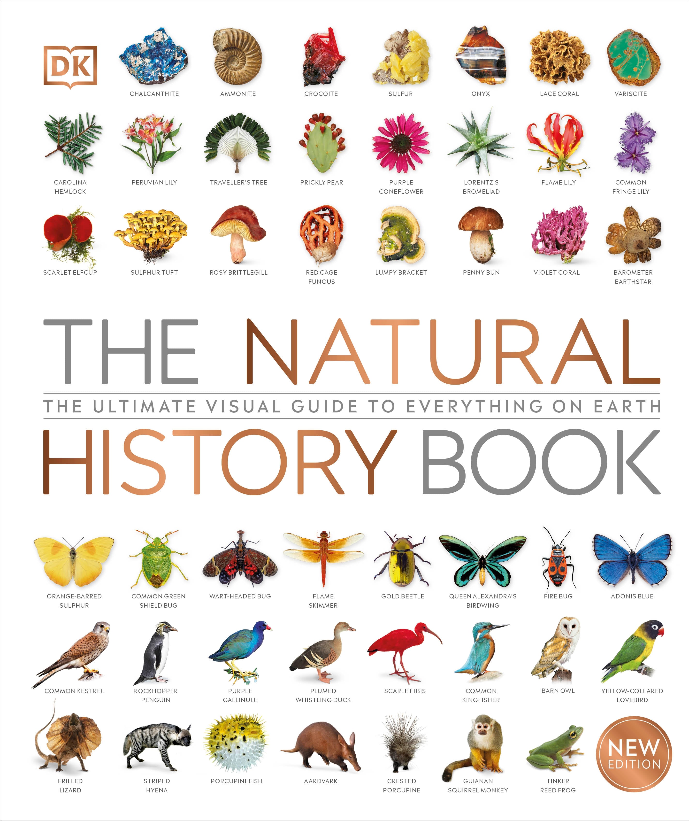 The Natural History Book – DK