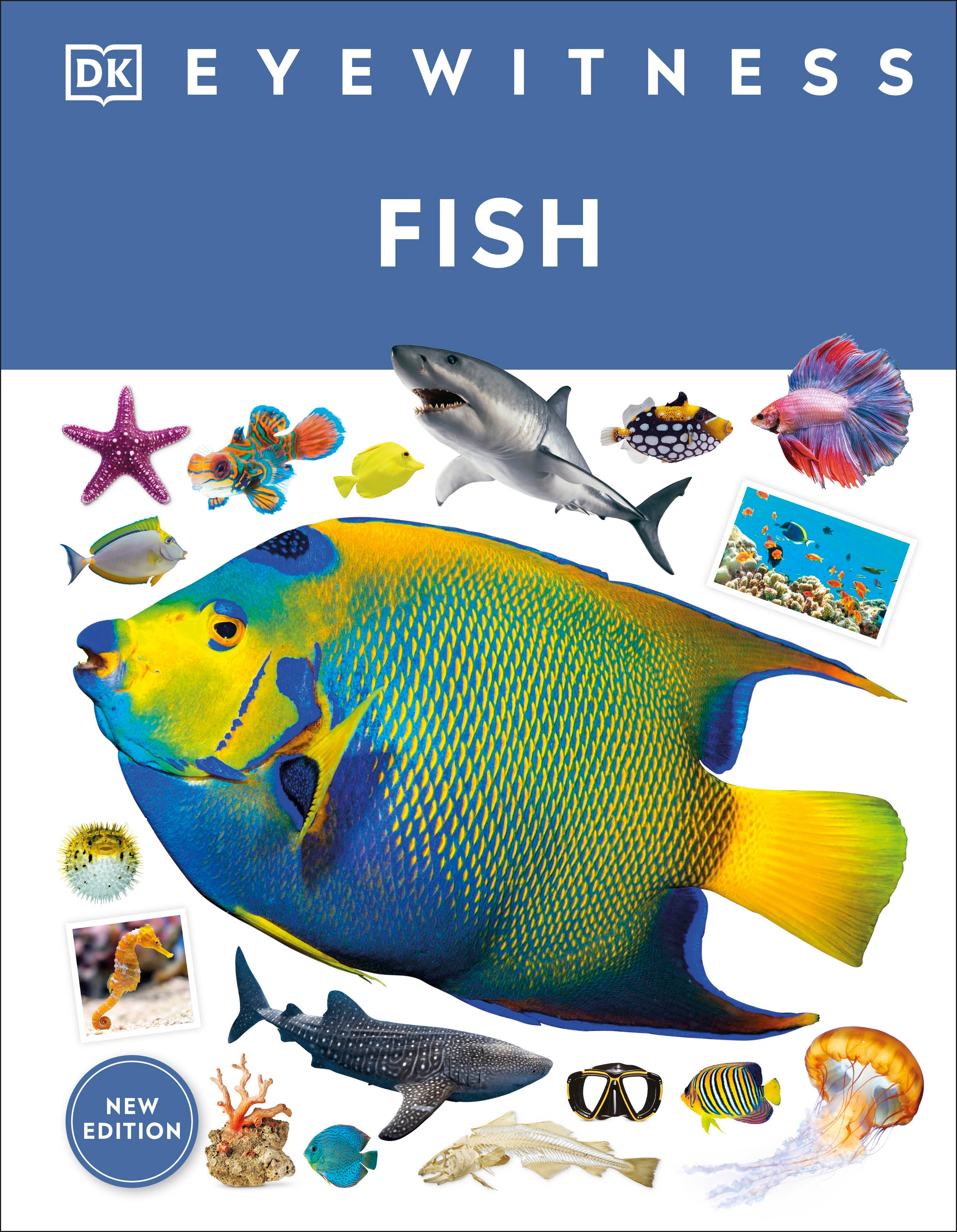 Fish – DK