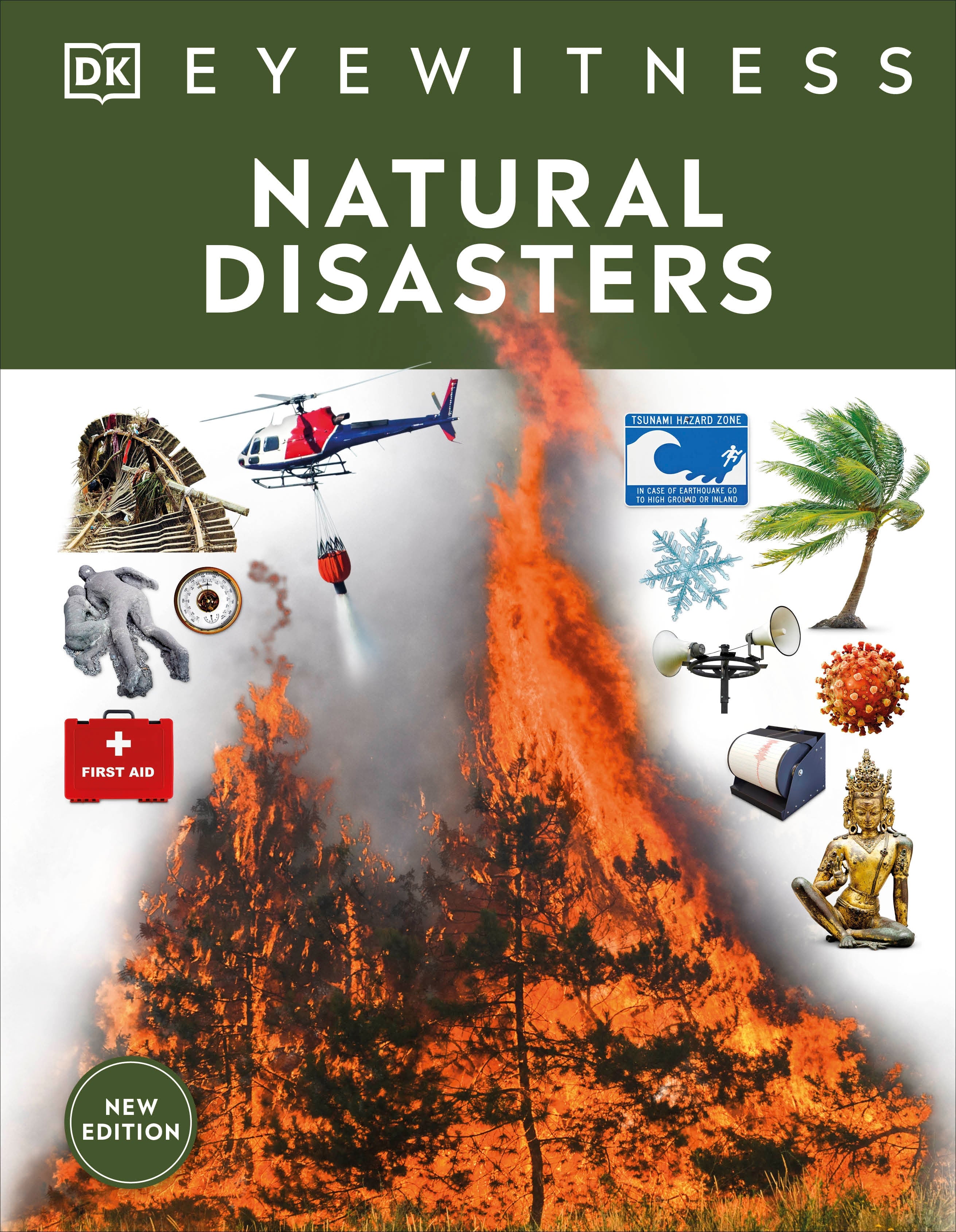 Natural Disasters – DK