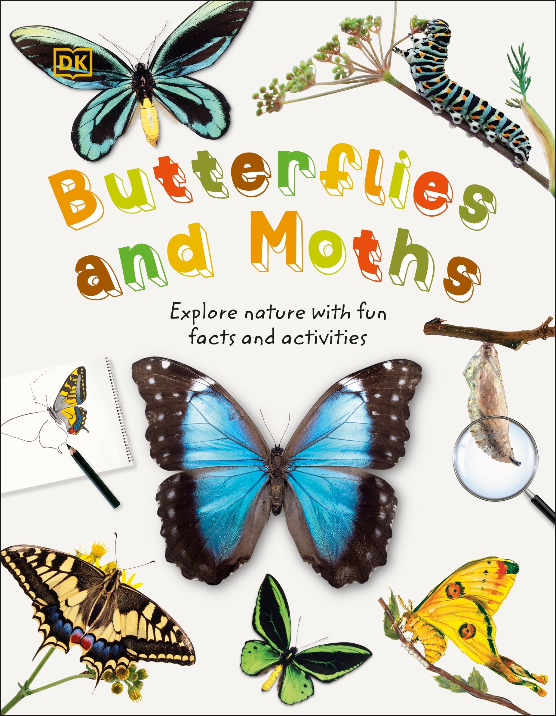 Butterflies and Moths – DK