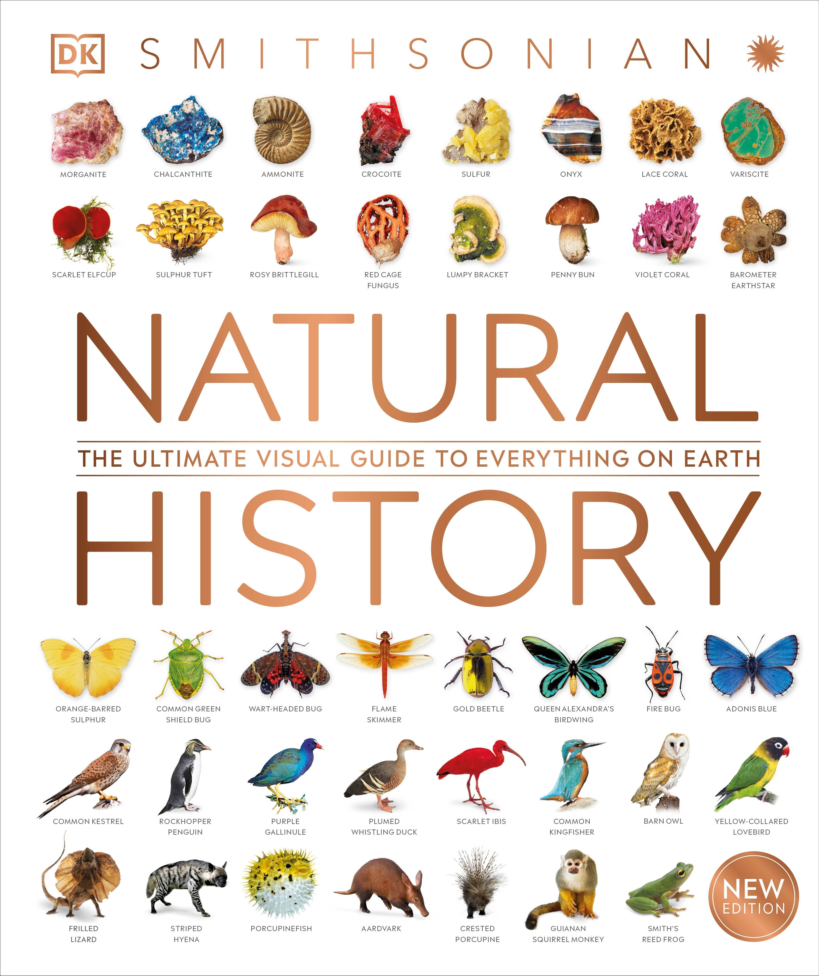 DK The Natural History Book 音声英語絵本 DK The Natural History Book 音声英語絵本 本