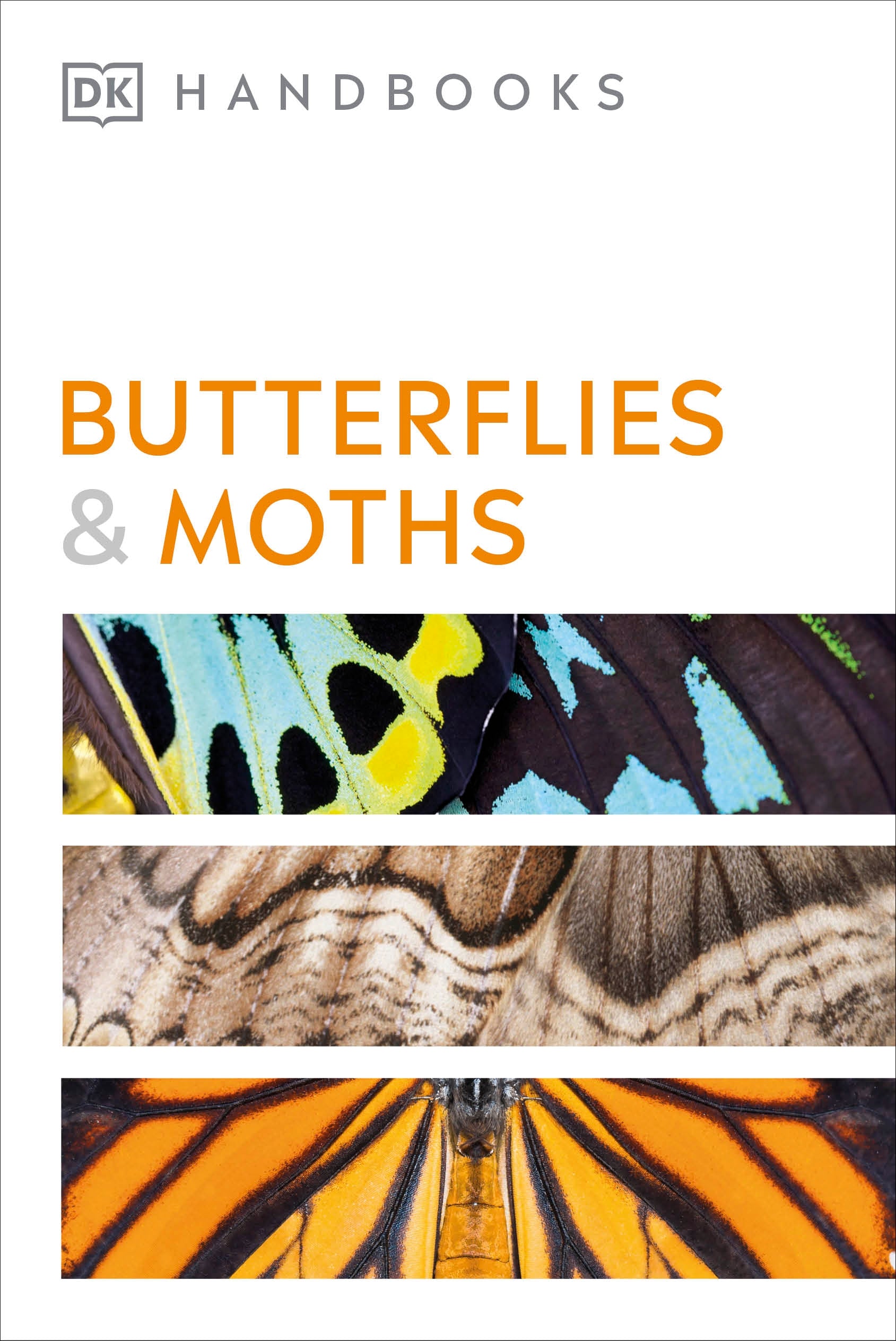 Butterflies and Moths – DK