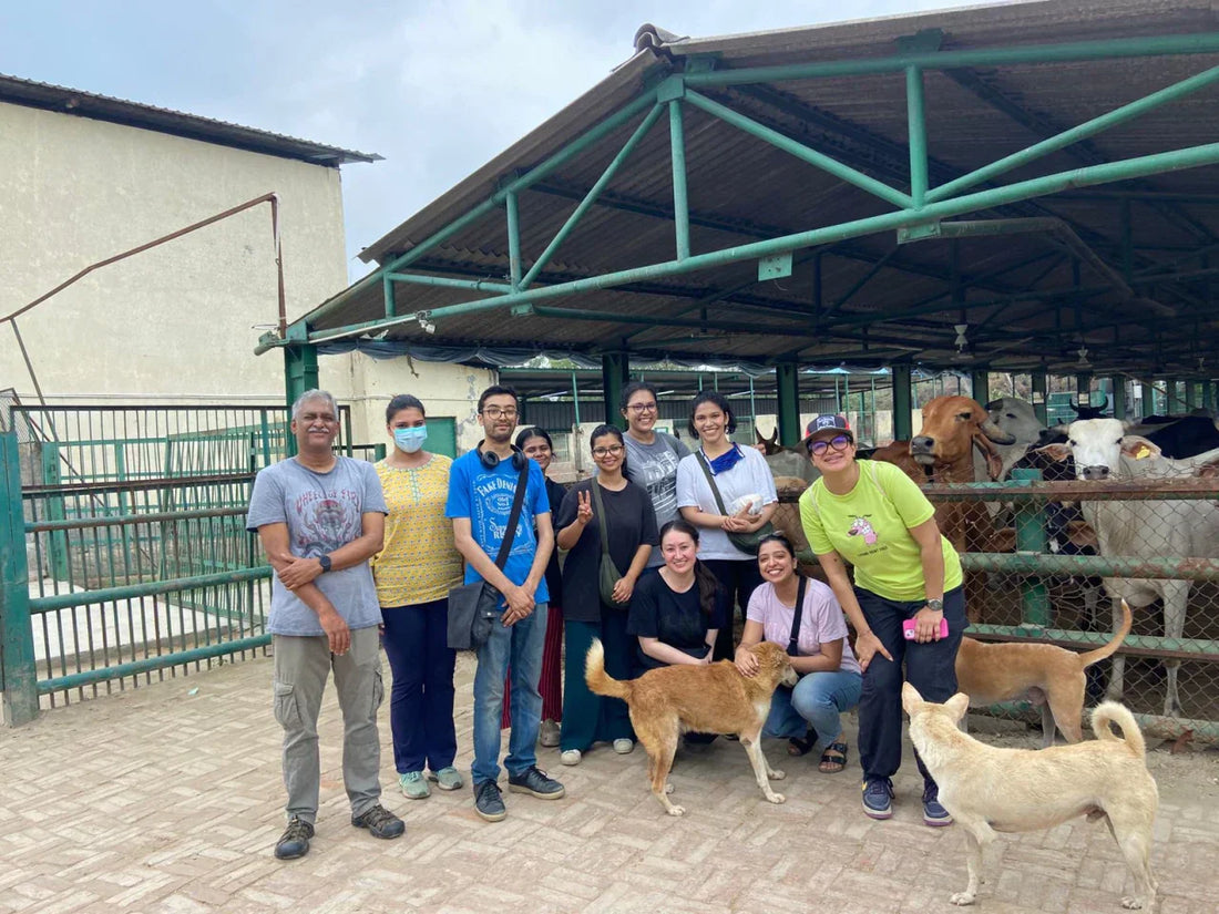 DK India’s Shelter Visit to Remember