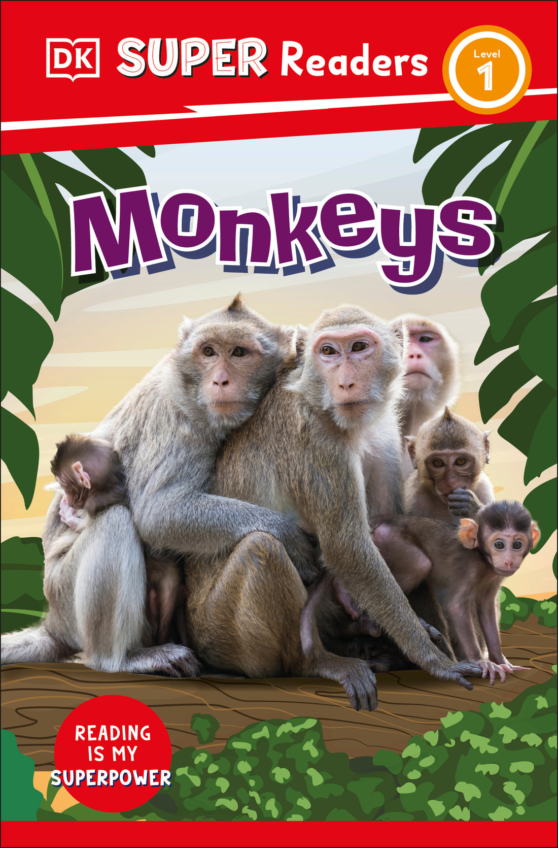 dk-super-readers-level-1-monkeys-jacket-0