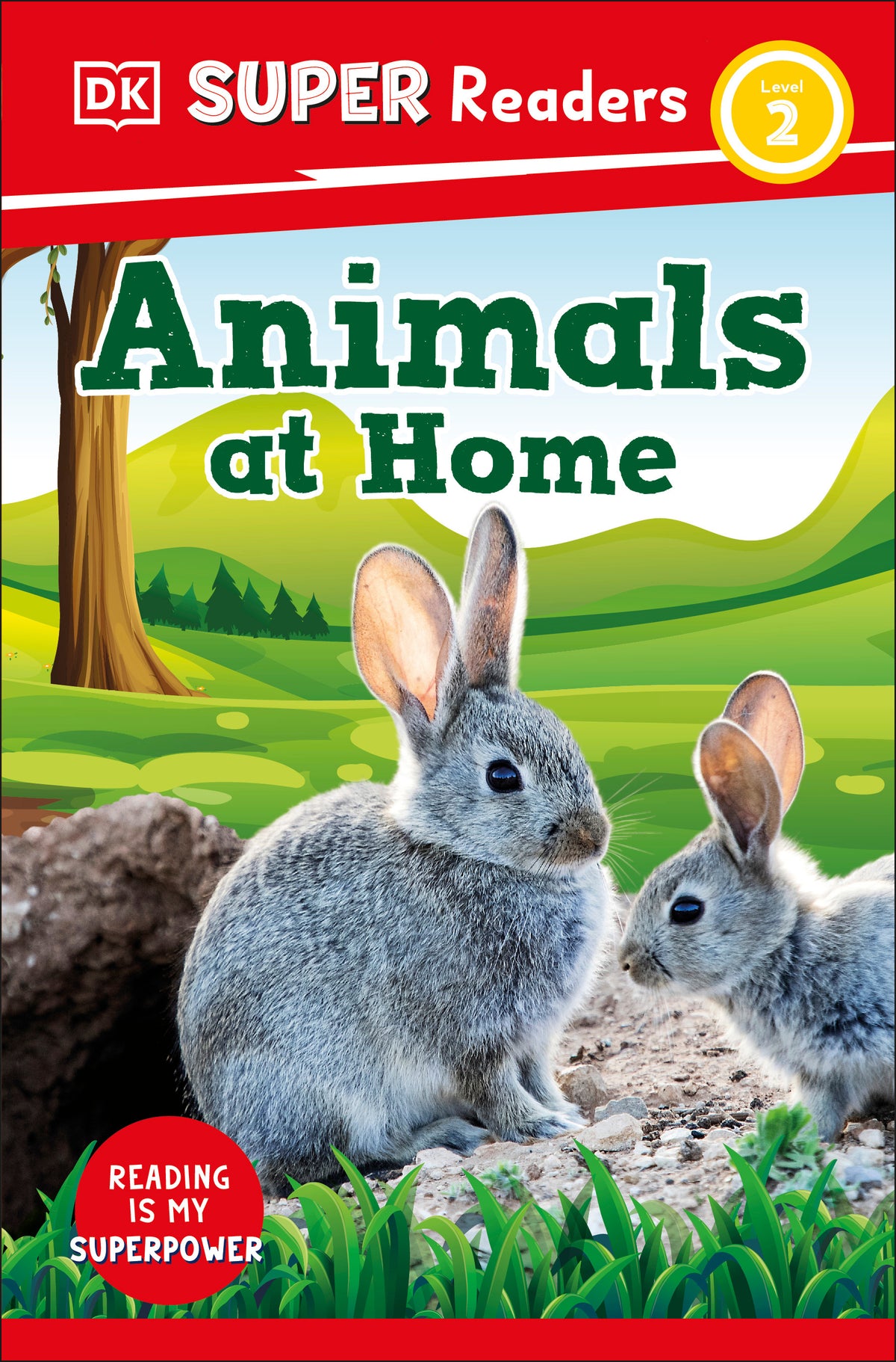 dk-super-readers-level-2-animals-at-home-jacket-0