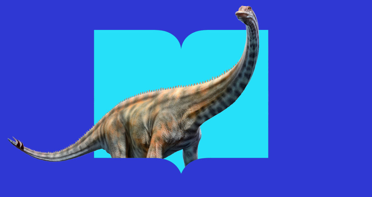 File Name
