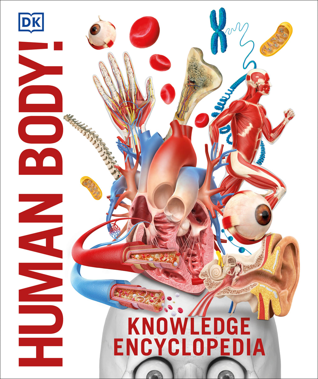 9780241286852-Knowledge Encyclopedia Human Body!-Book-Jacket Image-1
