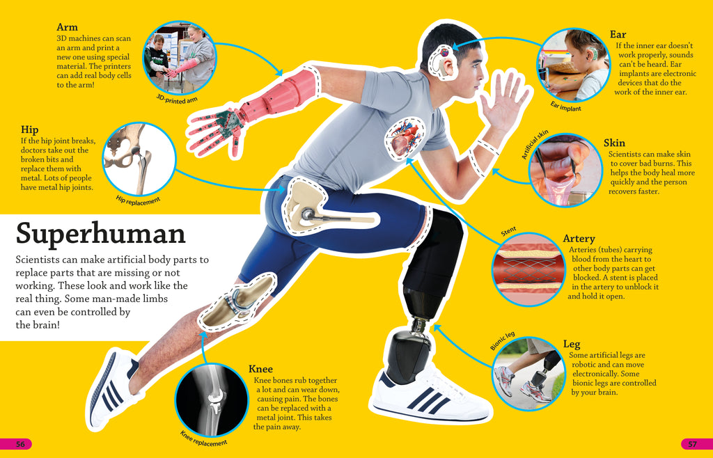 9780241285077-DKfindout! Human Body-Flexibound-Spread Image (PRHC Design Do Not Use)-3