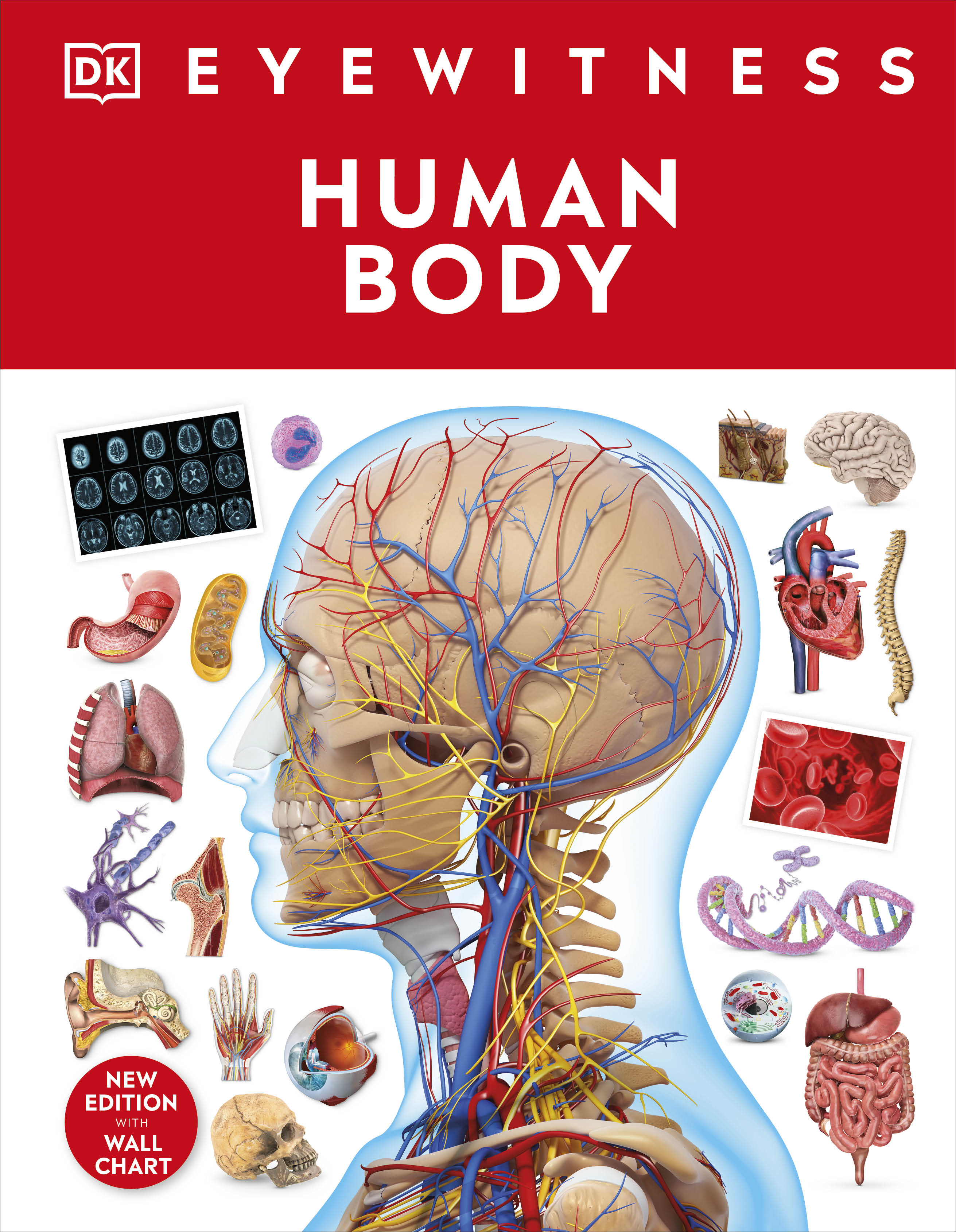 9780241617175-Human Body-Book-Jacket Image-1