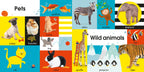 9780241275818-100 First Words-Board Book-Spread Image (PRHC Design Do Not Use)-3