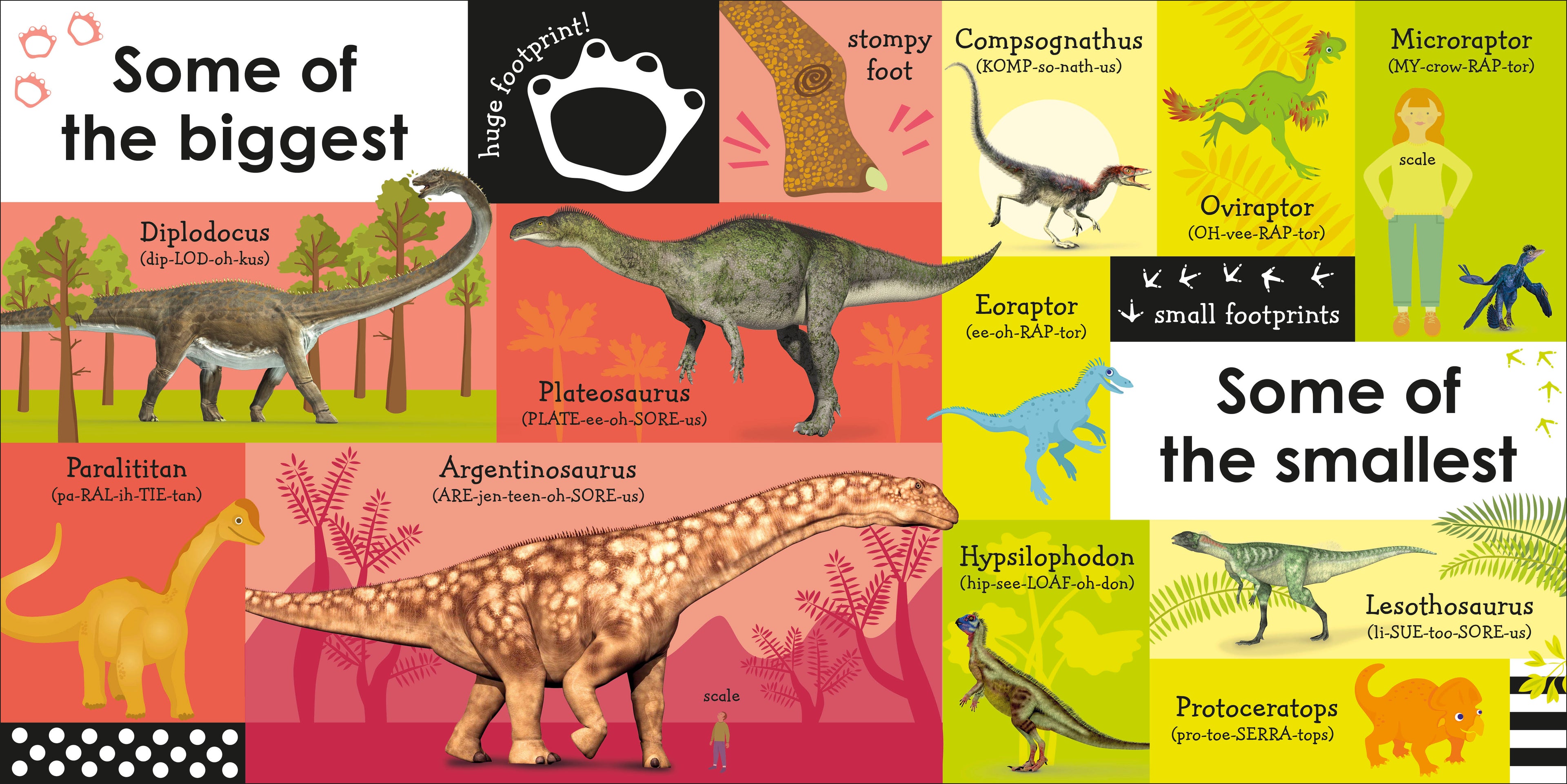 9780241375587-100 First Dinosaur Words-Board Book-Spread Image (PRHC Design Do Not Use)-1