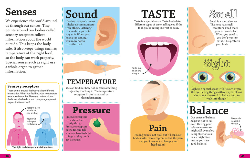 9780241285077-DKfindout! Human Body-Flexibound-Spread Image (PRHC Design Do Not Use)-2