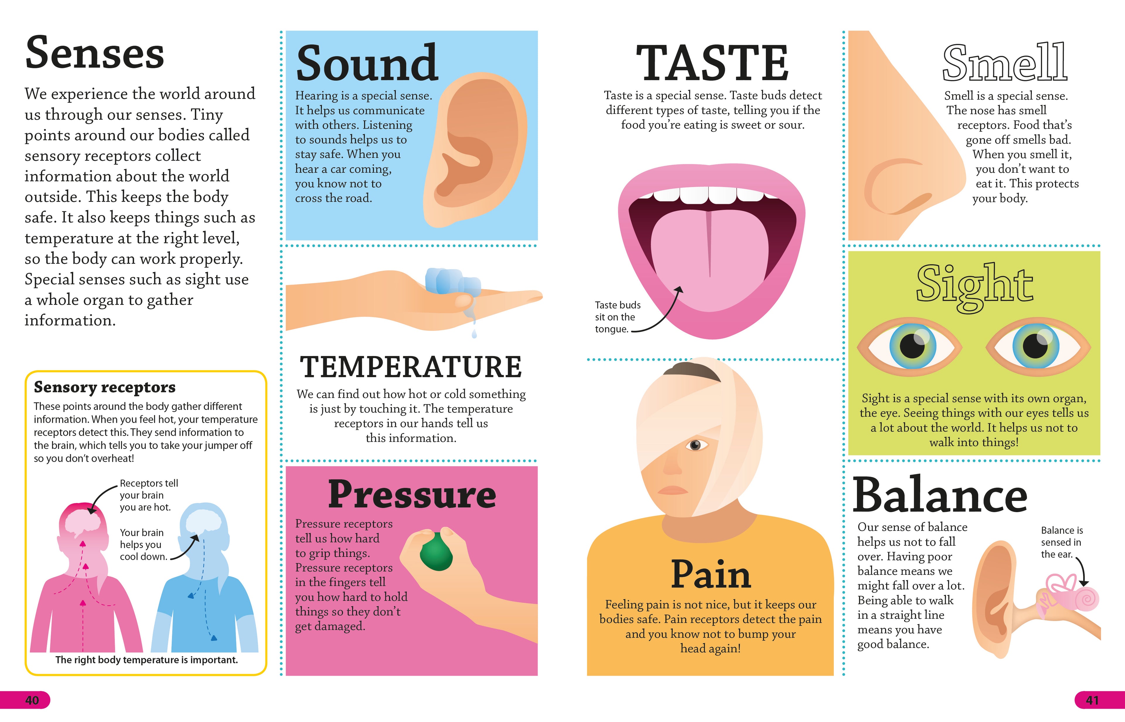 9780241285077-DKfindout! Human Body-Flexibound-Spread Image (PRHC Design Do Not Use)-2