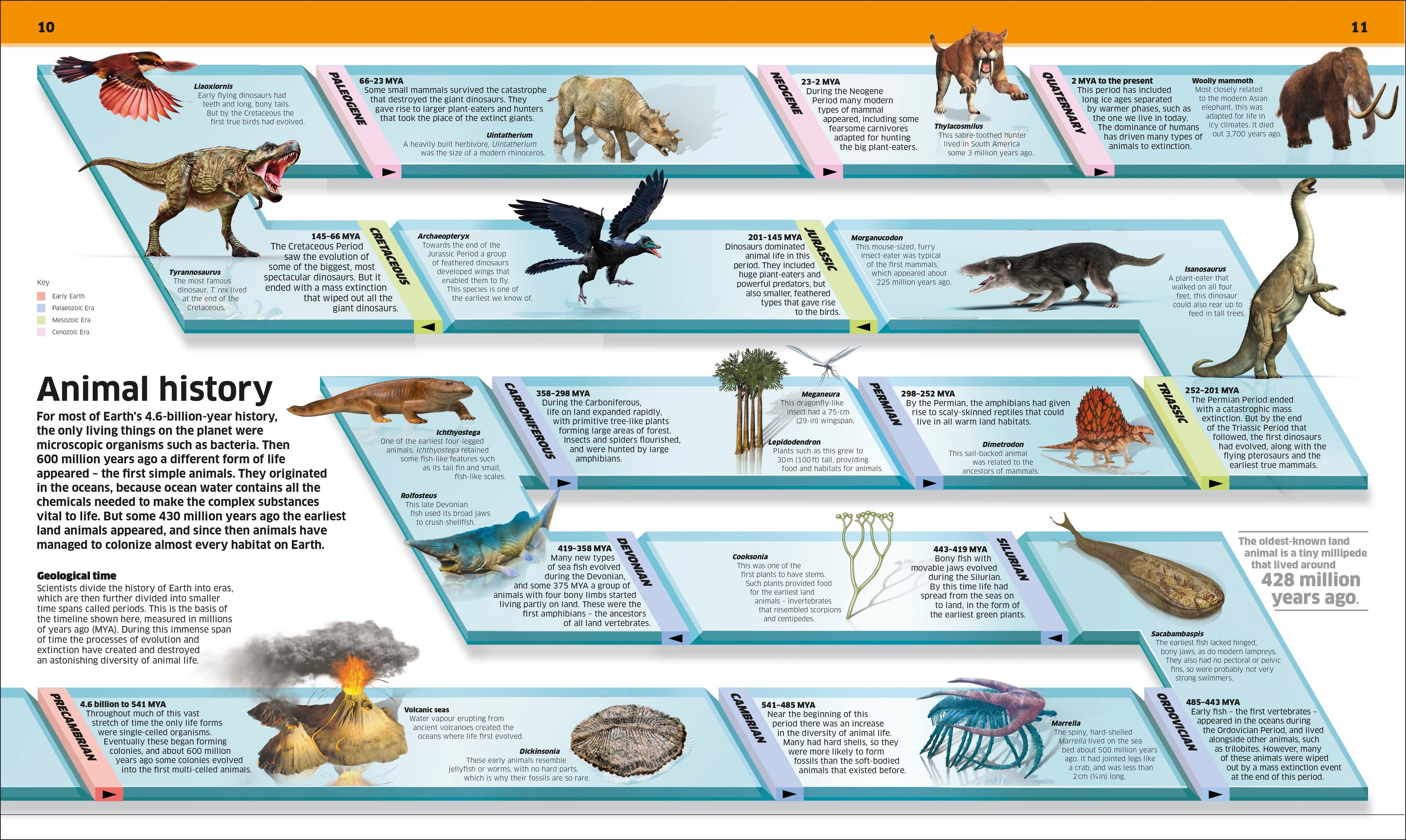 Knowledge Encyclopedia Animal!