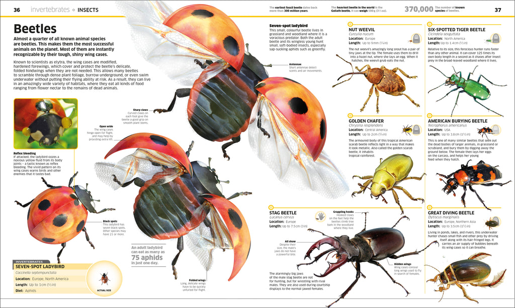 Knowledge Encyclopedia Animal!