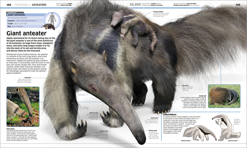 Knowledge Encyclopedia Animal!