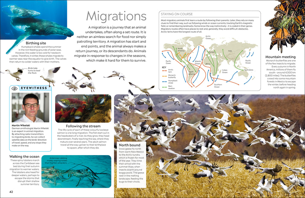 9780241383926-spread-Spread Image (PRHC Design Do Not Use)