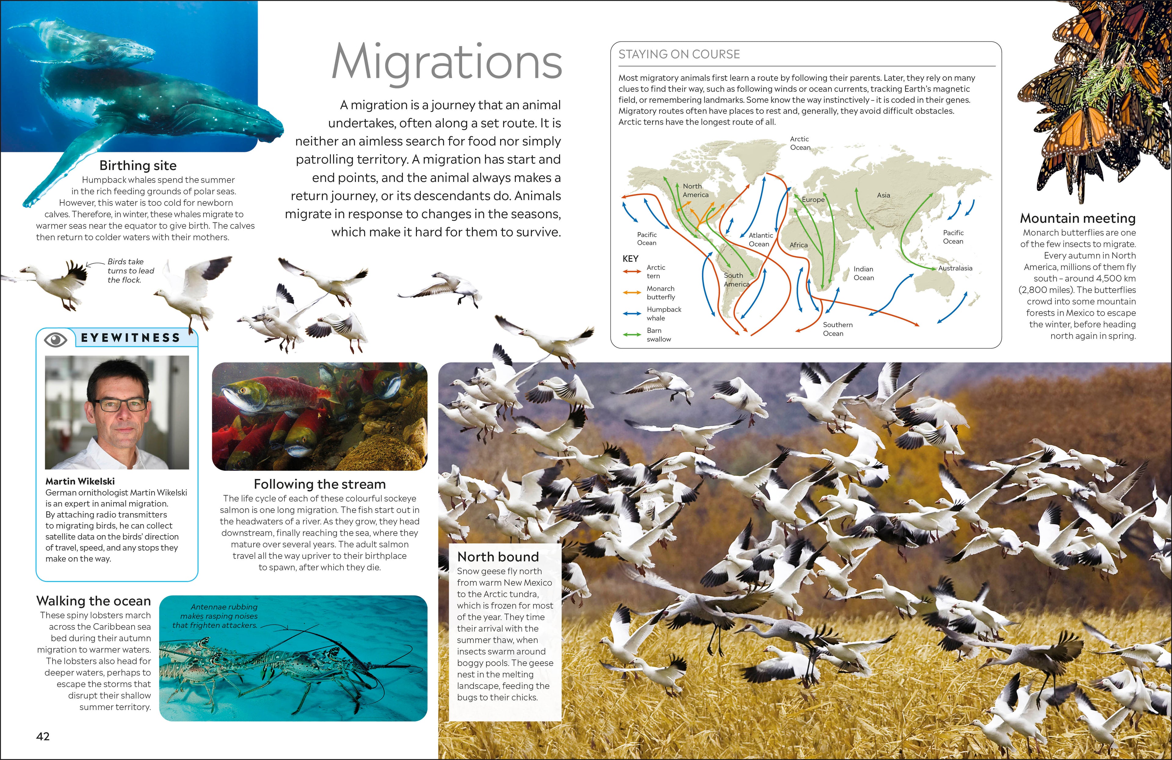 9780241383926-spread-Spread Image (PRHC Design Do Not Use)