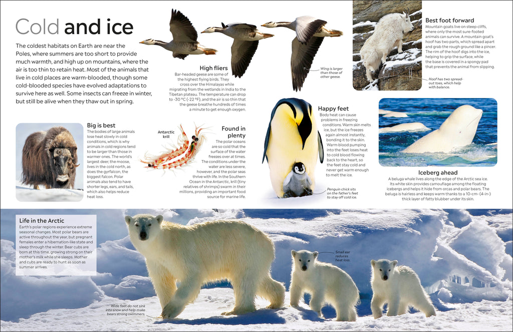 9780241383926-spread-Spread Image (PRHC Design Do Not Use)