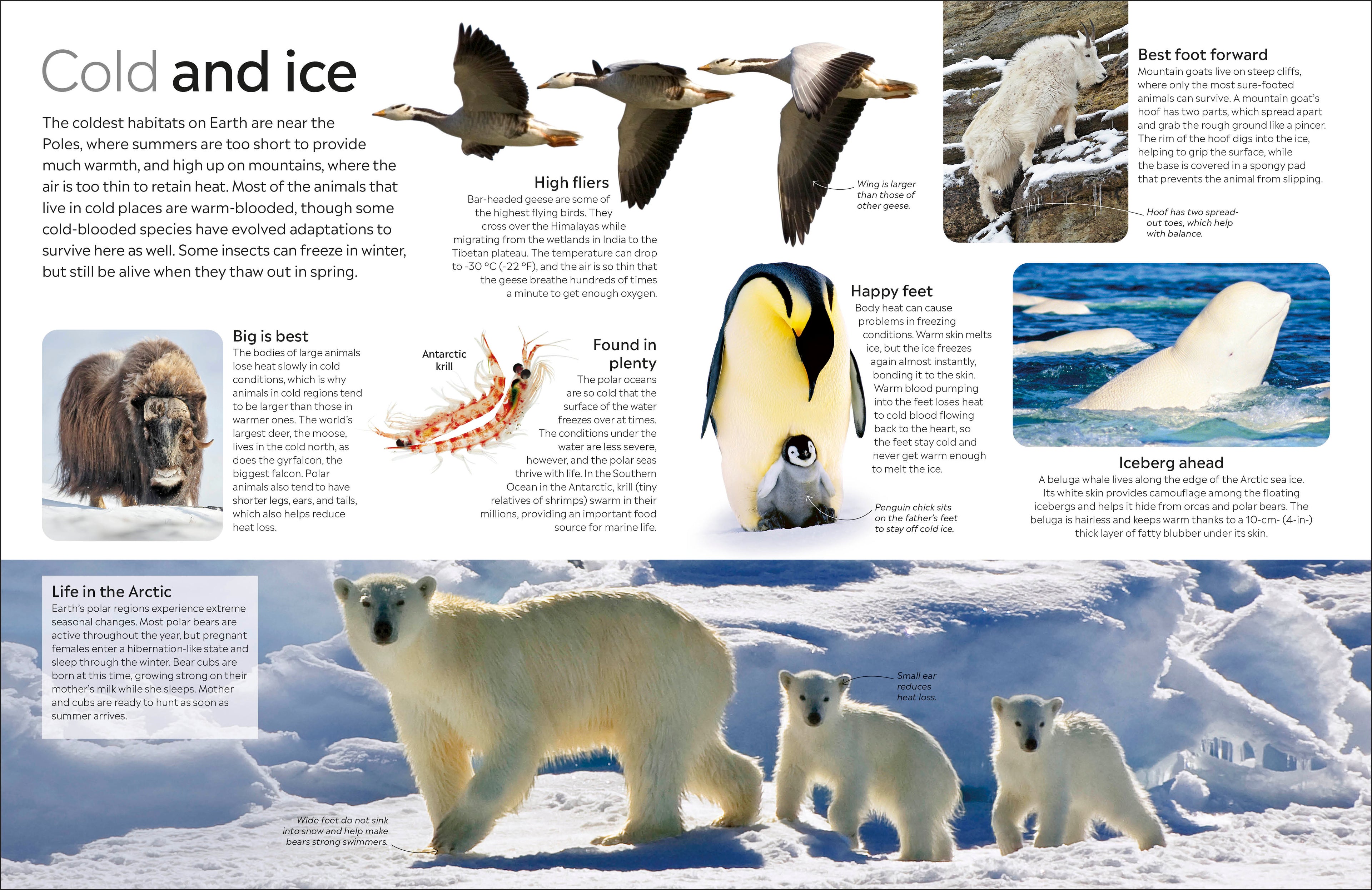 9780241383926-spread-Spread Image (PRHC Design Do Not Use)