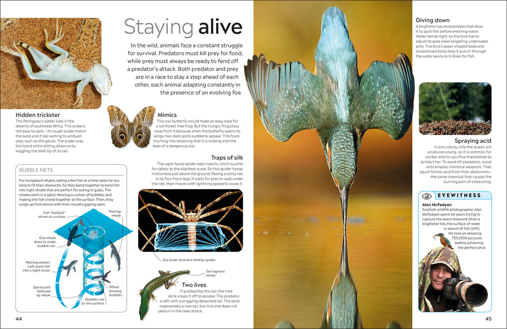 9780241383926-spread-Spread Image (PRHC Design Do Not Use)