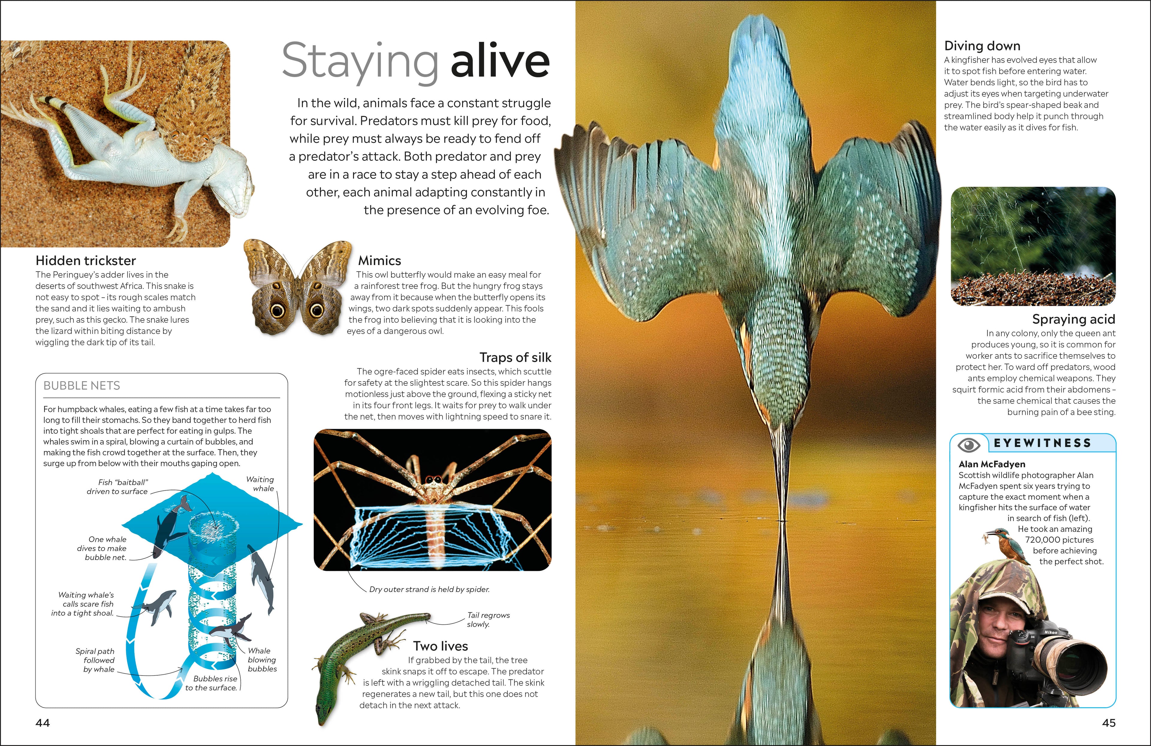 9780241383926-spread-Spread Image (PRHC Design Do Not Use)