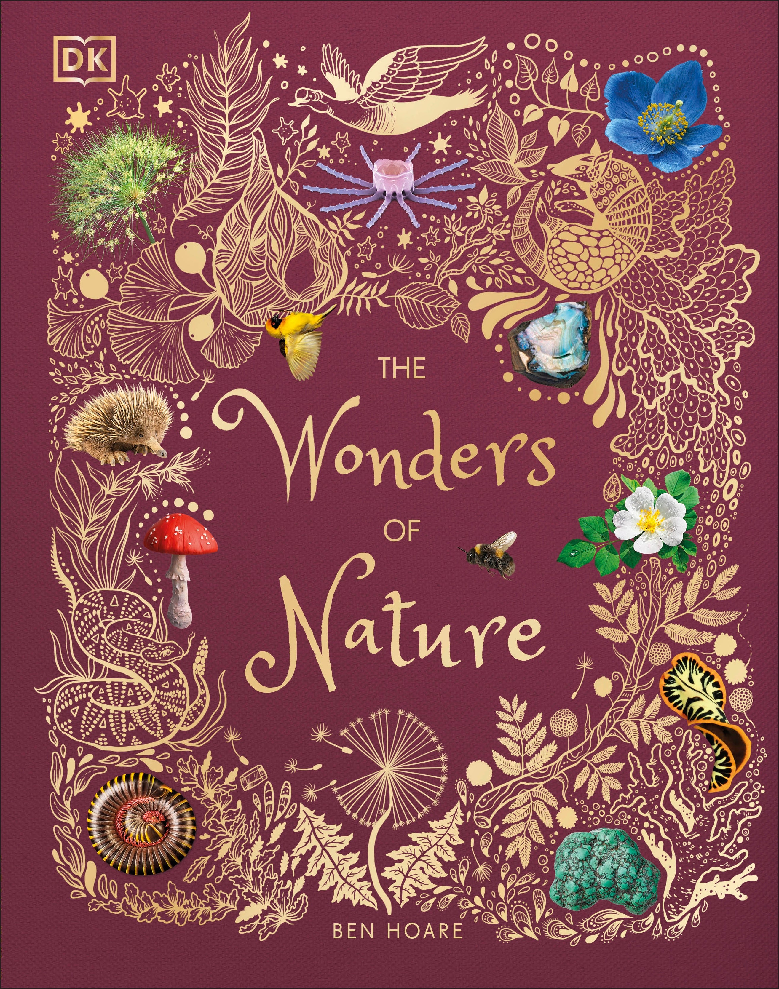 The Wonders of Nature – DK