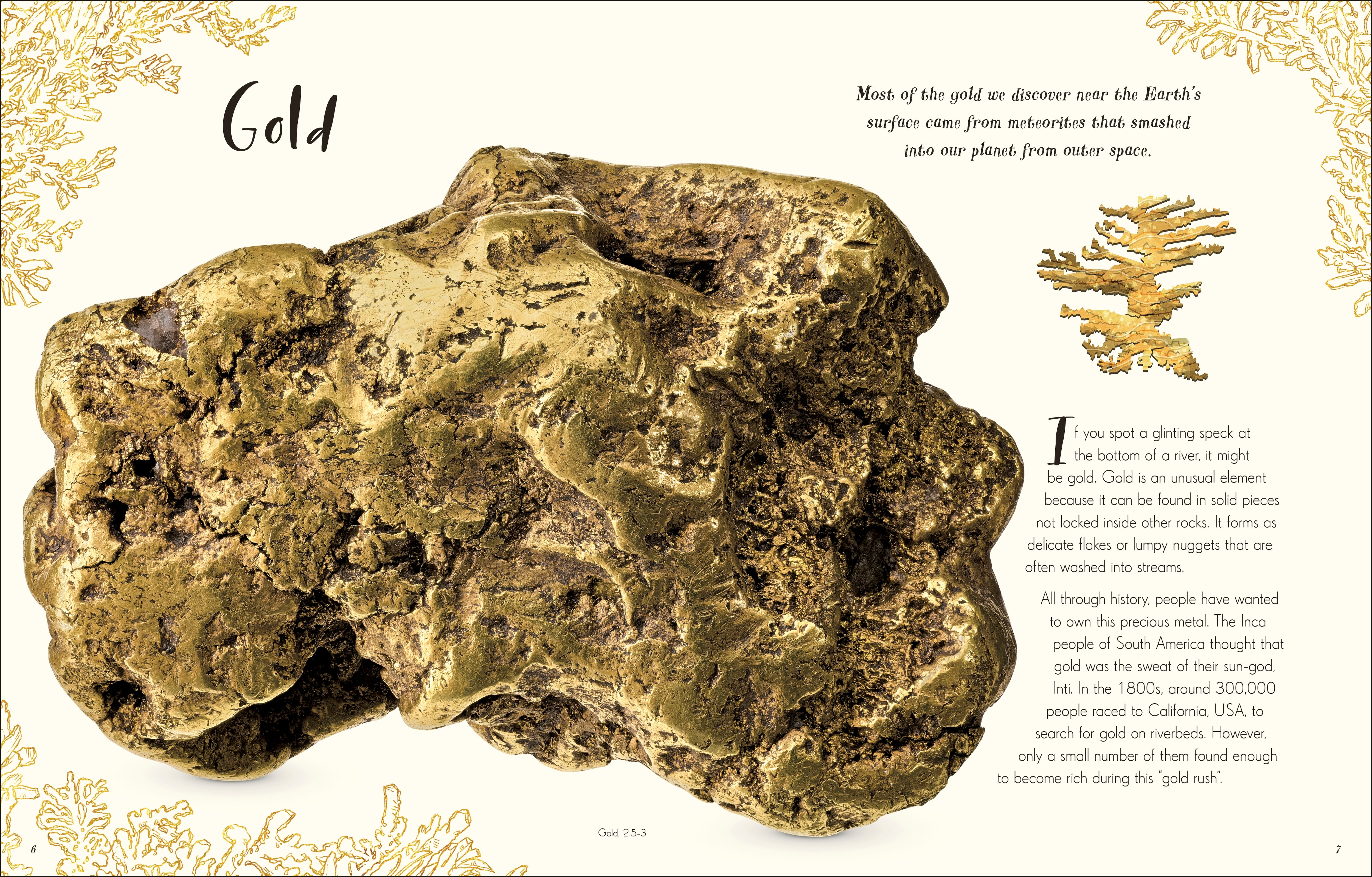 The Wonders of Nature – DK