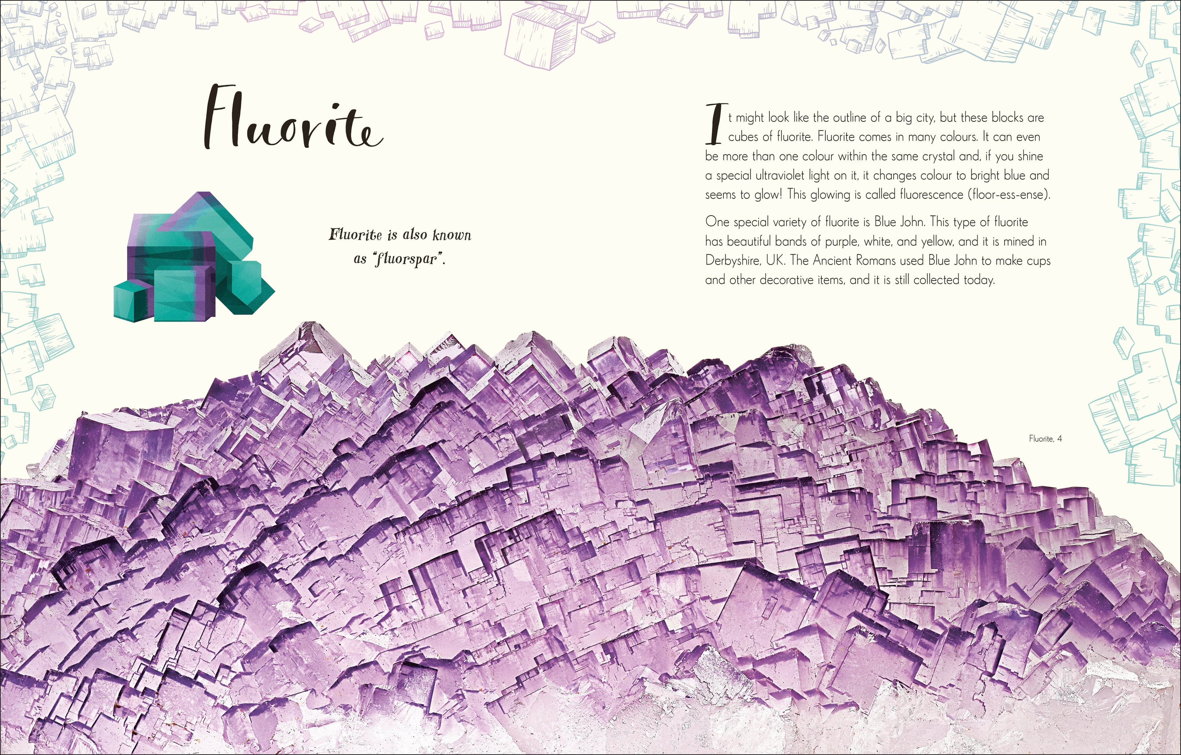 The Wonders of Nature