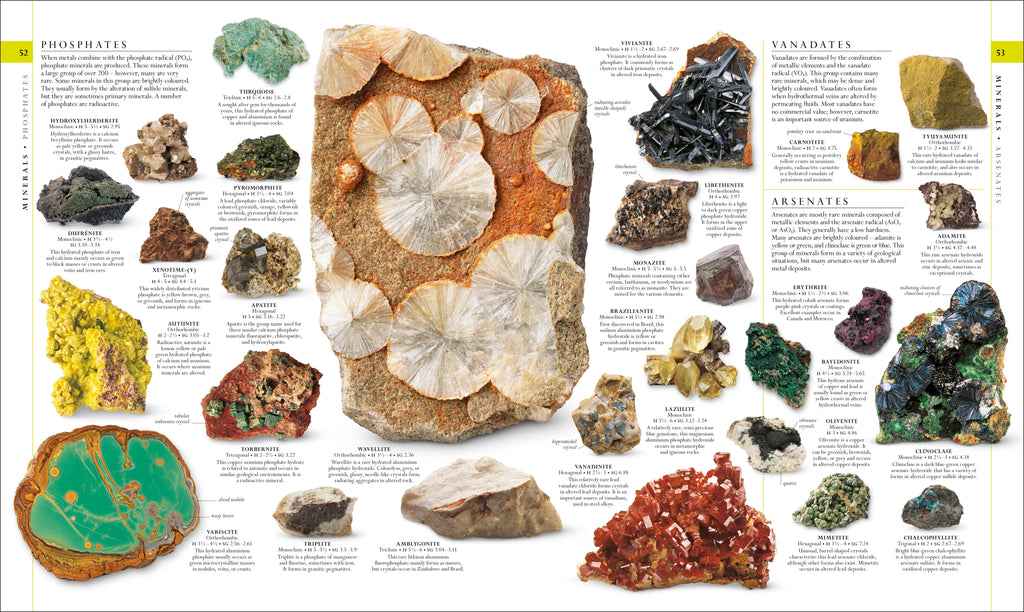 The Natural History Book