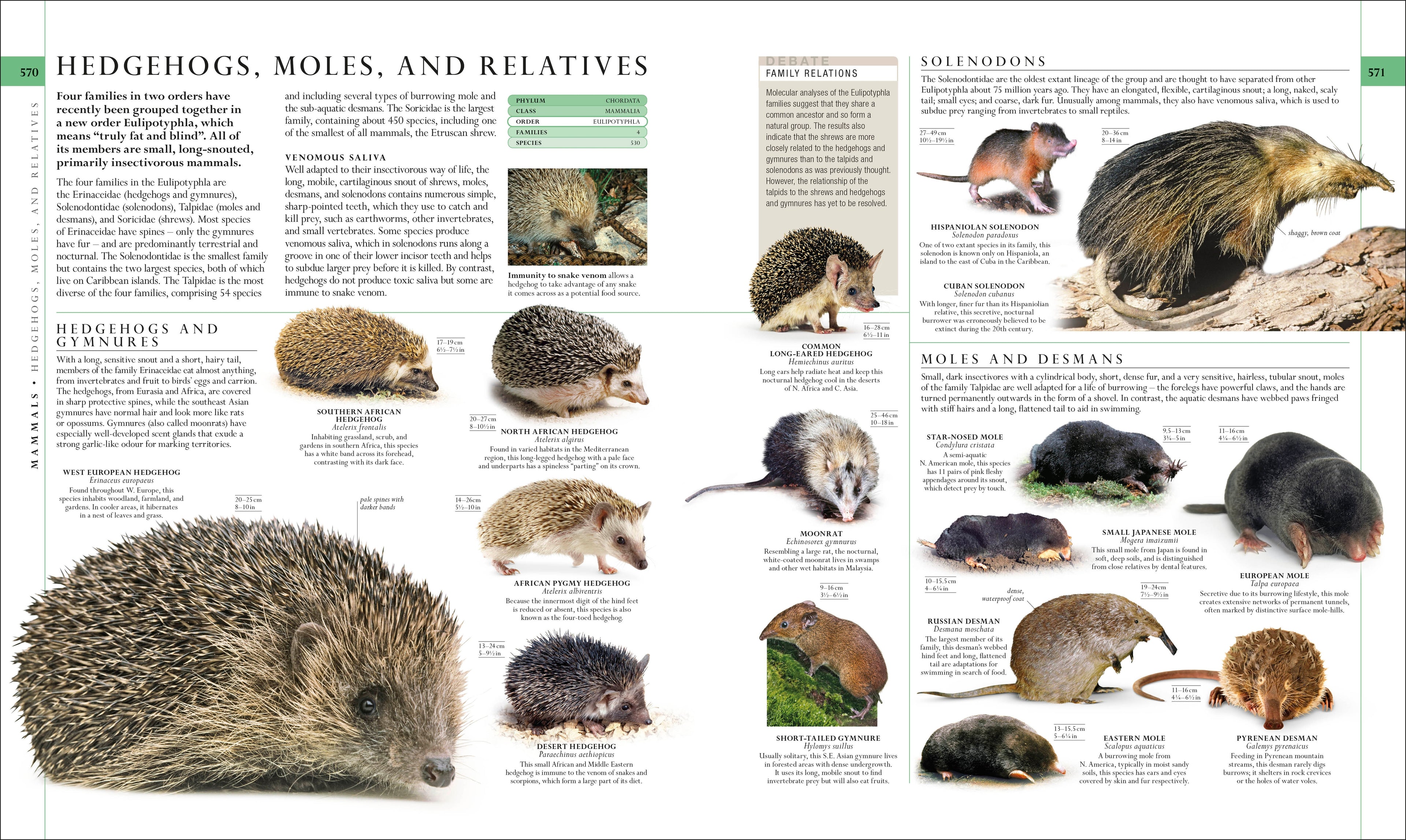 The Natural History Book