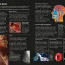 The Concise Human Body Book
