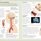 The Concise Human Body Book