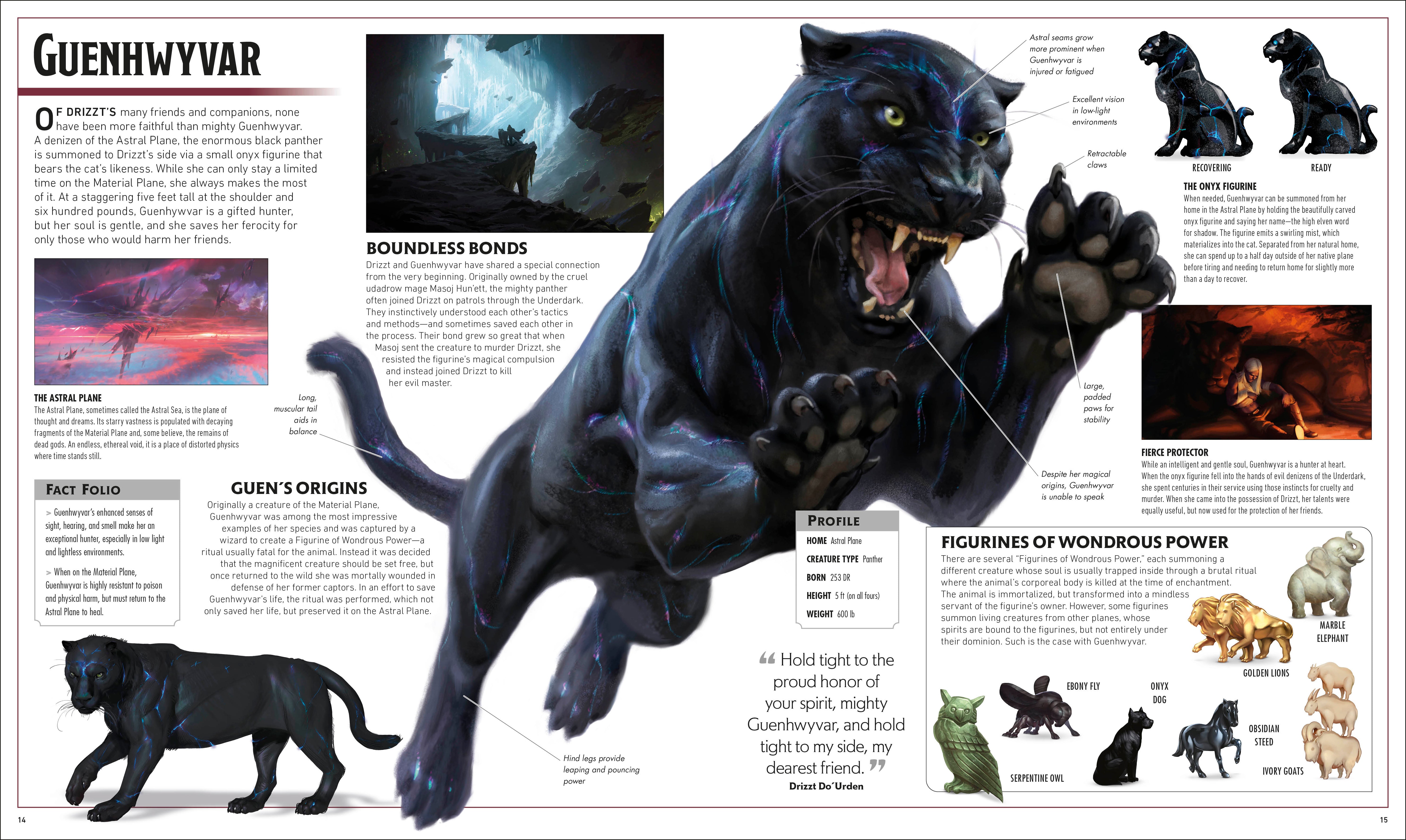 Dungeons & Dragons The Legend of Drizzt Visual Dictionary – DK
