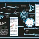 It Can't Be True! Human Body!