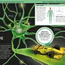 It Can't Be True! Human Body!