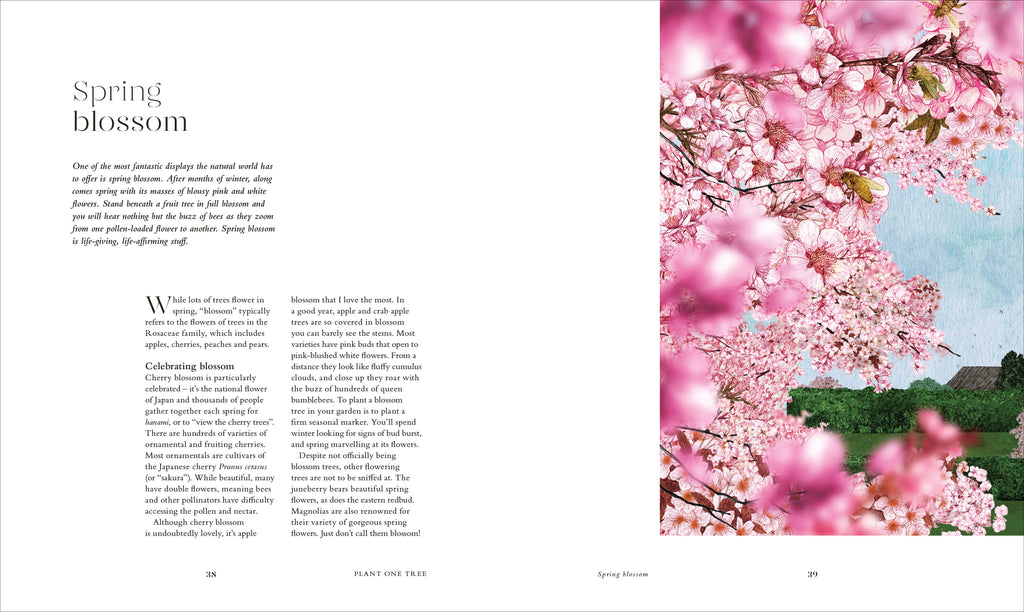 RHS The Tree in My Garden