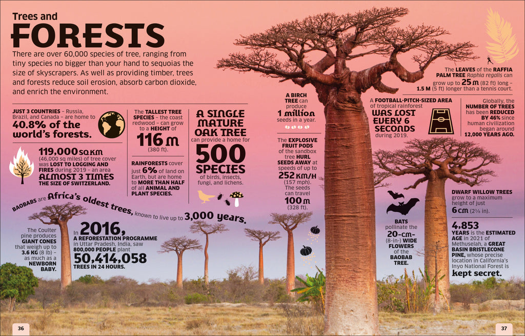 Our World in Numbers
