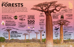 Our World in Numbers