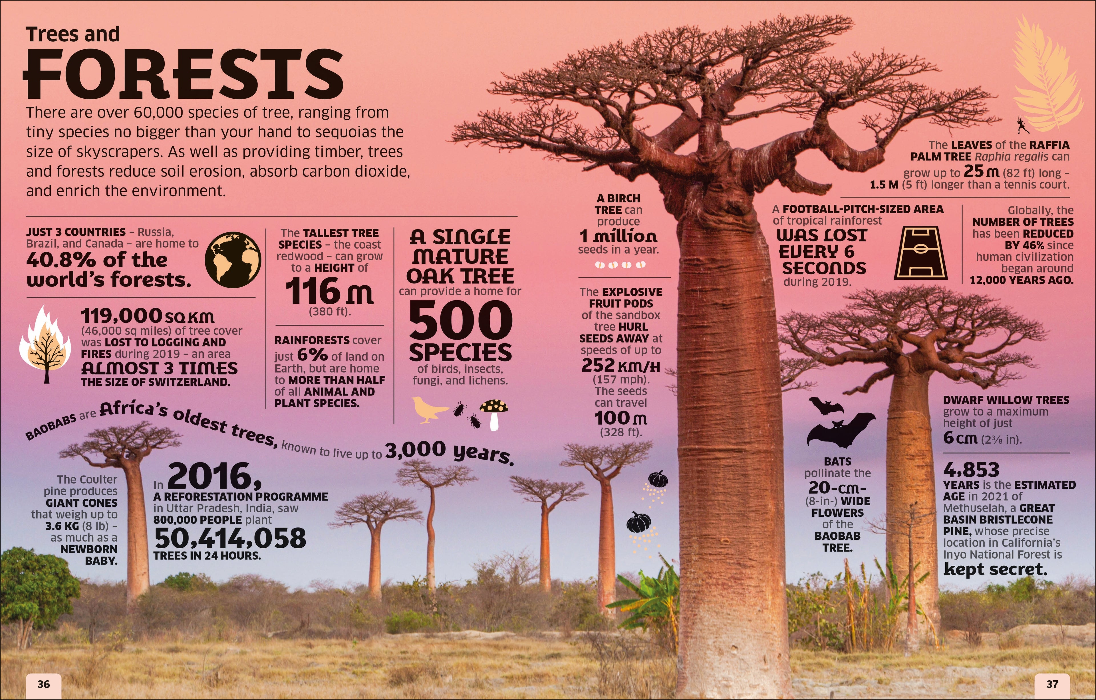 Our World in Numbers