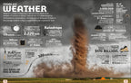 Our World in Numbers