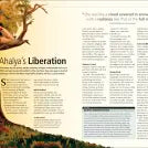 The Illustrated Ramayana