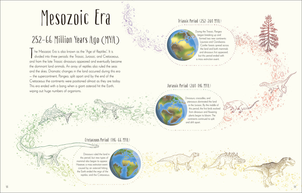Dinosaurs and Other Prehistoric Life