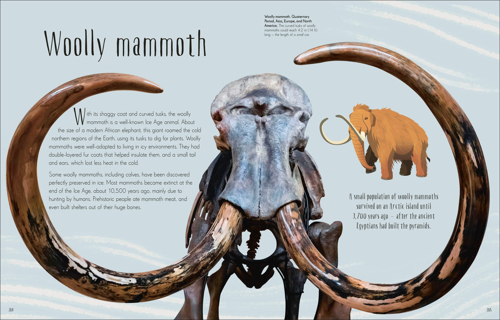 Dinosaurs and Other Prehistoric Life