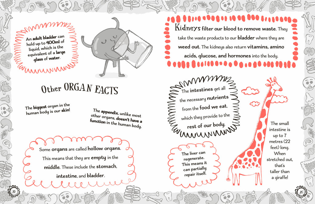 Radzi's Incredible Facts