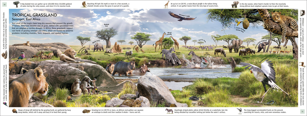 Habitats of the World