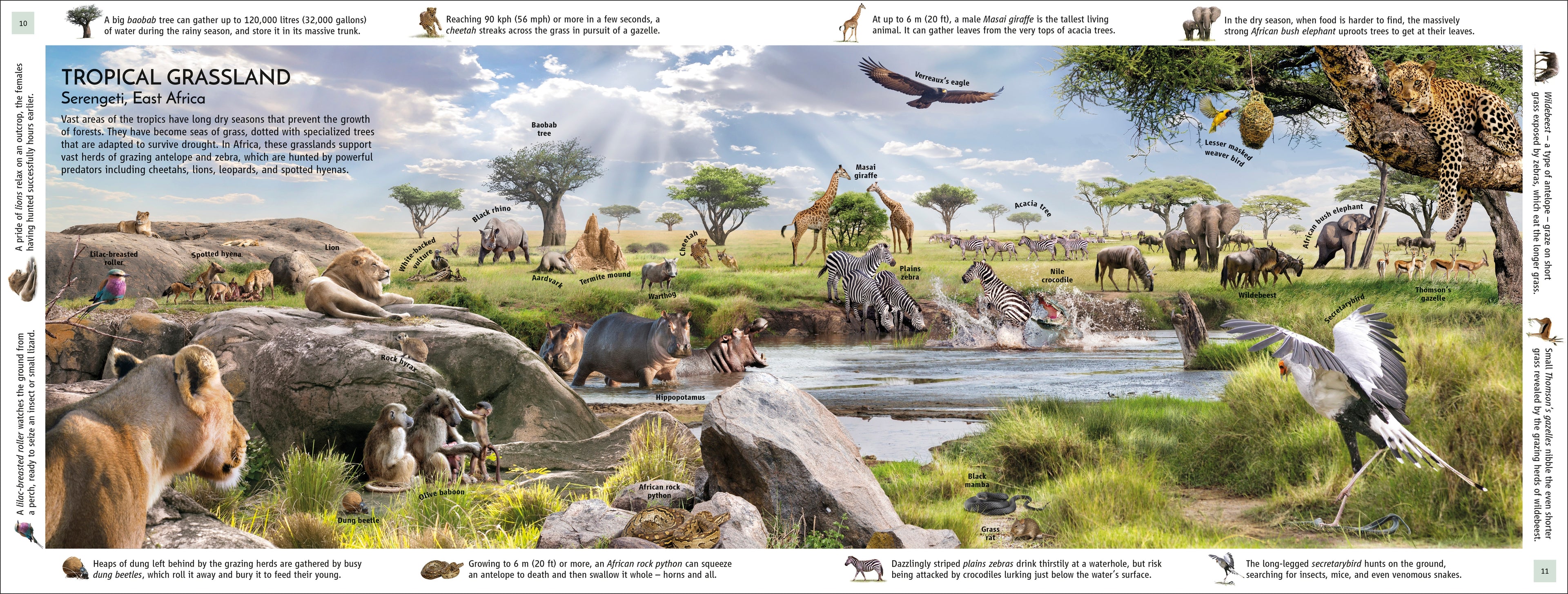 Habitats of the World