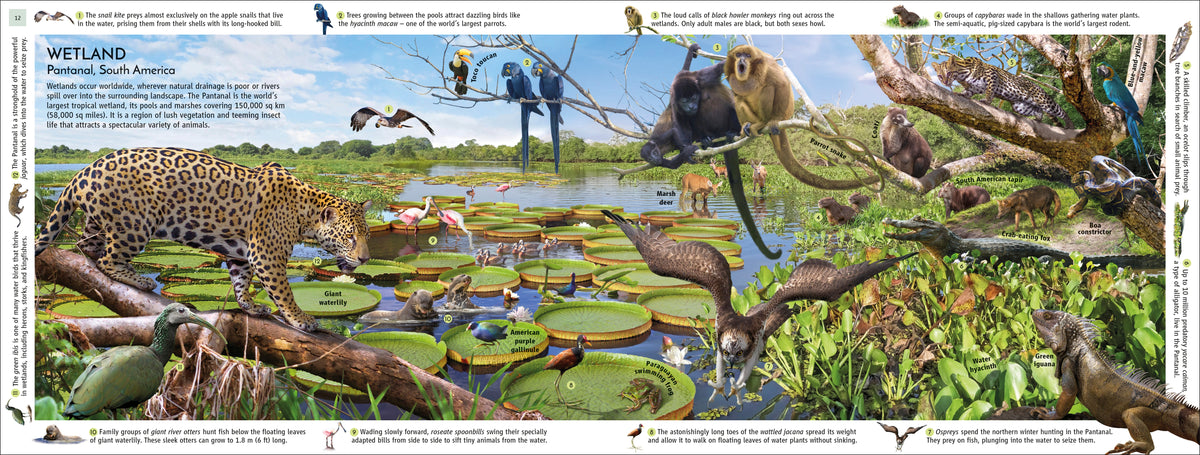 Dk.com Habitats of the World – DK