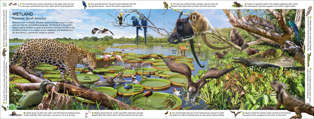 Habitats of the World