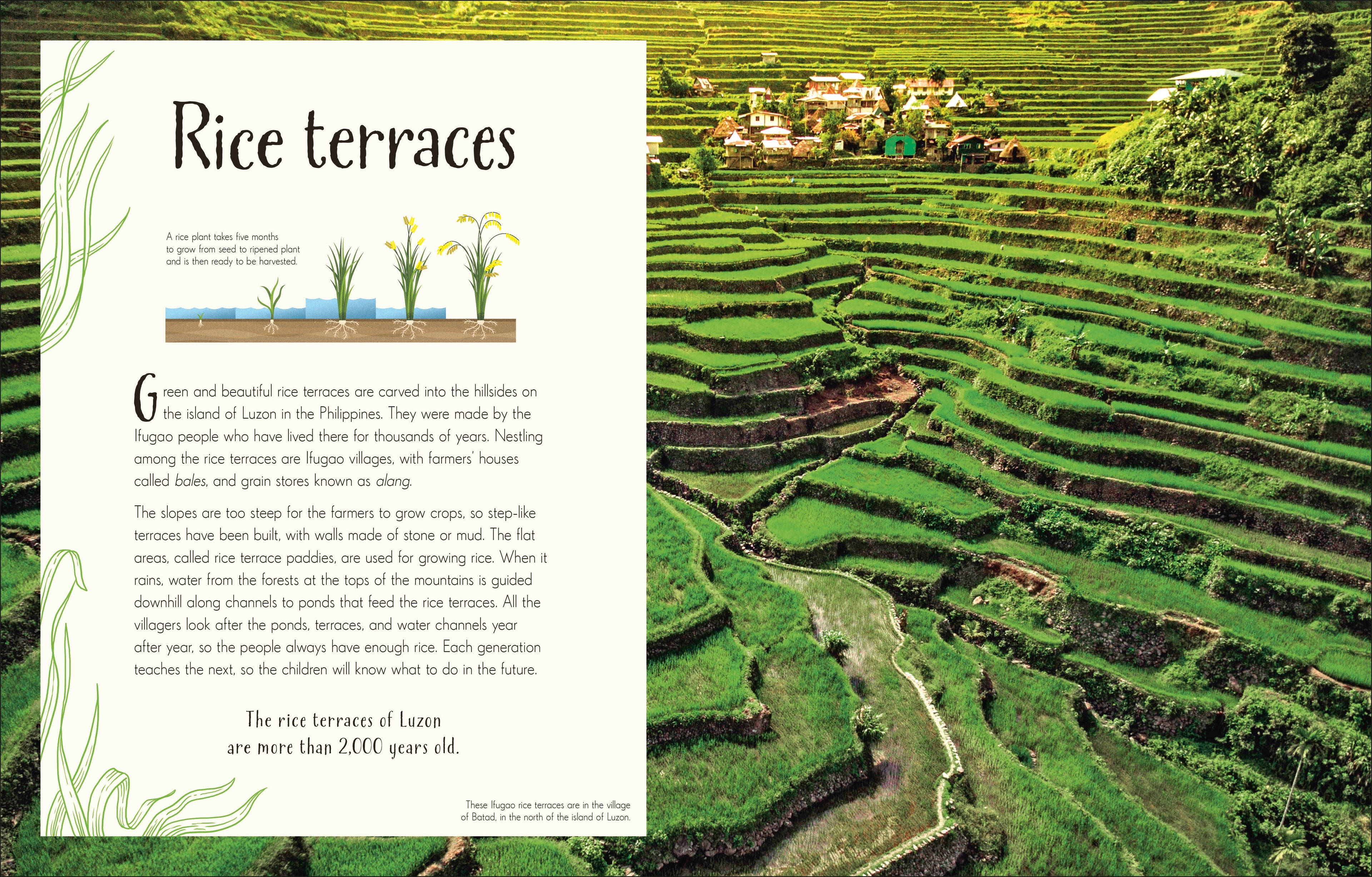 An Anthology of Our Extraordinary Earth